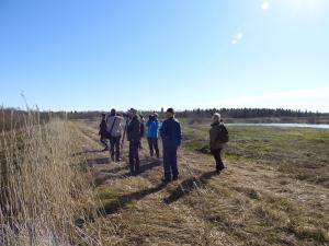 Veitsiluodon tuhka-allas 31.5.2019